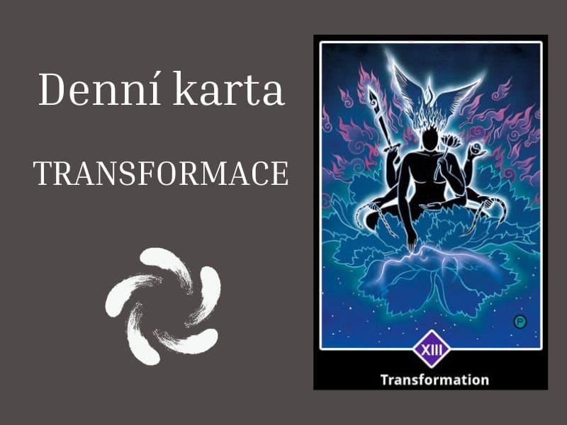 denni-karta-transformace denní karta Transformace